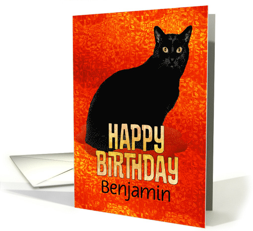 Birthday Handsome Black Cat Orange Lights Custom Name card (1473796)