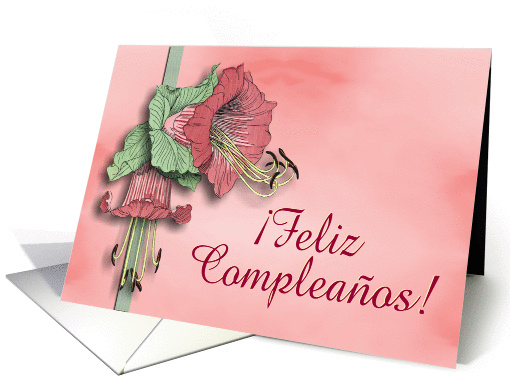 Feliz Compleaos card (447163)