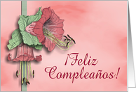 Feliz Compleaos card