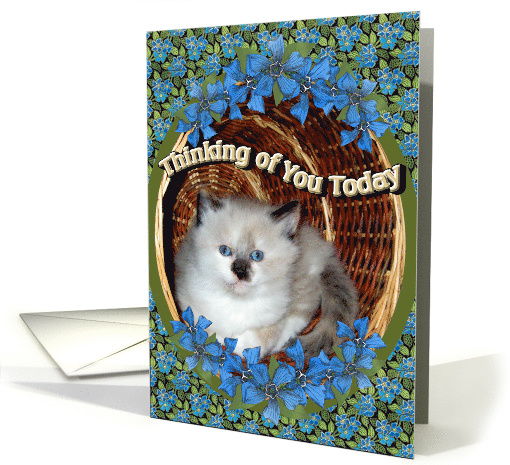 Thinking of You Today Kitty card (451857)