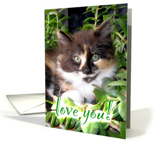 Love You Green Eyed Kitten card (451881)