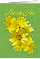 Thank You - Cheerful Yellow Daisies card