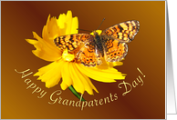 Happy Grandparents Day Butterfly card