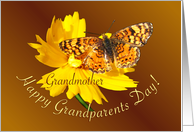 Grandmother Happy Grandparents Day Butterfly card