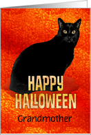 Happy Halloween Grandmother Black Cat card