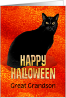Happy Halloween Great Grandson Black Cat card