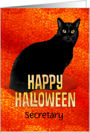 Happy Halloween Secretary Black Cat card