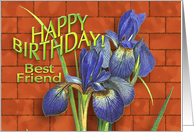 Happy Birthday Friend card