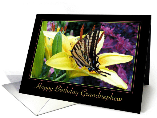 Happy Birthday Grandnephew card (474784)