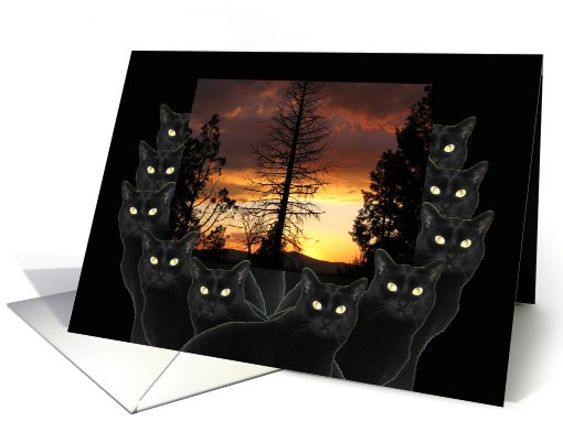 Happy Halloween from All of Us Black Cats card (475420)