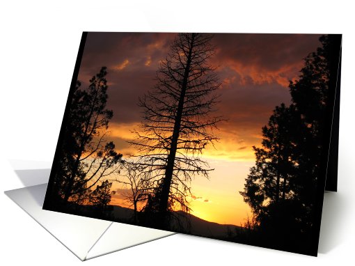 Hauntingly Beautiful Sunset - Ochoco Mountains, Oregon card (478241)