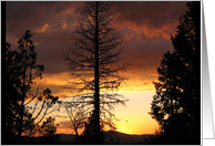 Hauntingly Beautiful Sunset - Ochoco Mountains, Oregon card