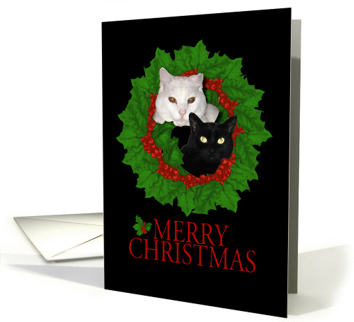 Merry Christmas Cats card (492124)