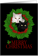 Merry Christmas Cats card