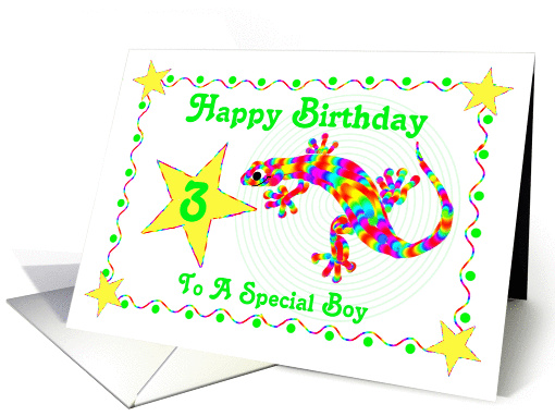 3rd Birthday for Special Boy, Rainbow Salamander card (533075)