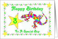 3rd Birthday for Special Boy, Rainbow Salamander card