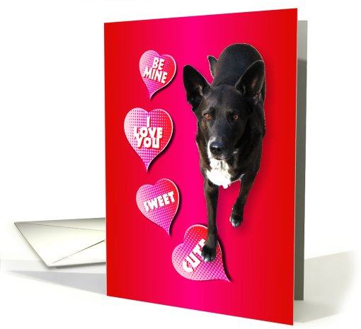 Valentine Greeting with Lovable Dog for Friend card (548379)