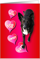 Valentine Greeting with Lovable Dog for Grandson card
