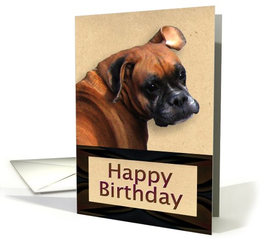 Happy Birthday Boxer Dog card (552416)