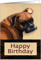 Happy Birthday Boxer Dog card