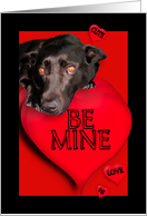 Be Mine Valentine...