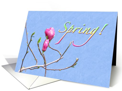 Celebrate Spring and Love for Girlfriend card (556191)