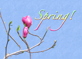 Celebrate Spring and...