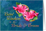 Best Wishes to Bride...