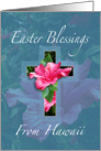 Easter Blessings From Hawaii card
