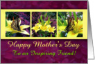 Happy Mother’s Day Butterflies for Friend card