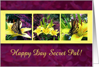 Thinking of You Happy Day Secret Pal card