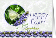 Happy Easter Neighbor Butterfly and Flowers card