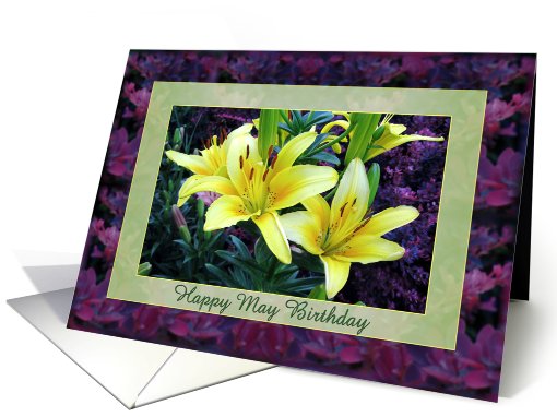 Happy May Birthday Yellow Lilies card (572412)