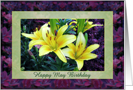 Happy May Birthday Yellow Lilies card