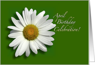 Happy April Birthday Daisy card