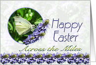 Happy Easter Across the Miles Butterfly Flowers card