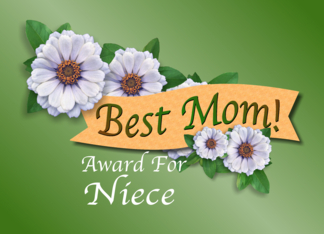 Best Mom Award For...