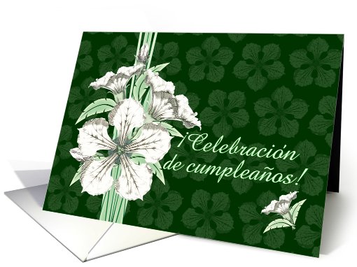 Celebracion de cumpleanos! Birthday Party Invitation... (584717)