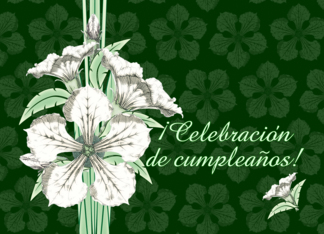 Celebracion de cumpleanos! Birthday Party Invitation Pretty White Flowers Spanish