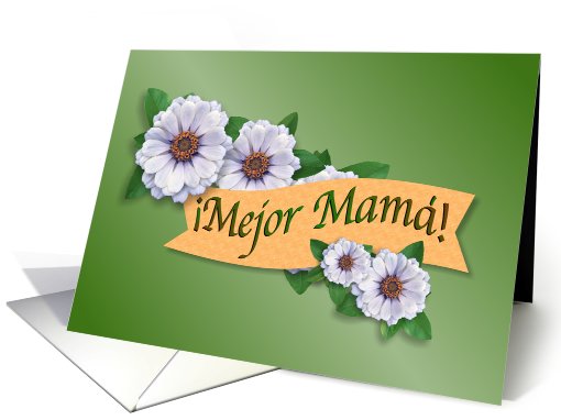 Mejor Premio de Mam, Best Mom Award Spanish card (585968)
