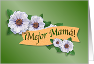 Mejor Premio de Mam, Best Mom Award Spanish card