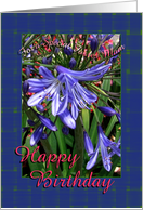 Foster Mom Happy Birthday Lavender Lilies card