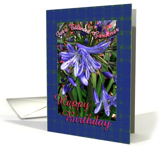 Gardener Happy Birthday Lavender Lilies card (590287)