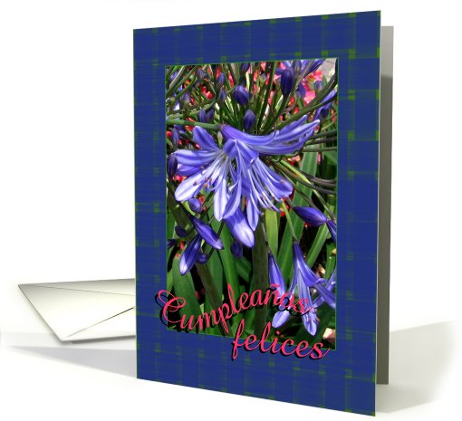 Spanish Happy Birthday Lavender Lilies card (590314)