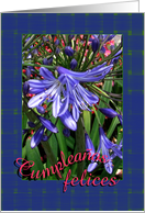 Spanish Happy Birthday Lavender Lilies card