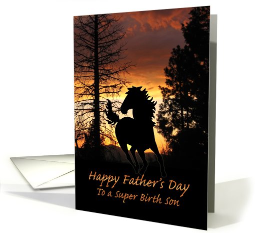 For Birth Son Father's Day Wild Horse Sunset card (597304)