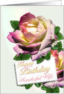 Wonderful Wife Birthday Roses card