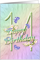 14th Birthday Flowers and Butterflies card