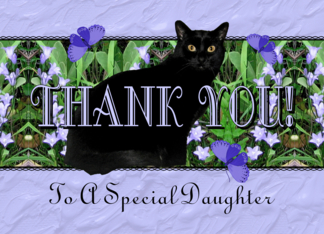 Daughter Thank You...