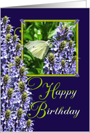 White Butterfly Garden Birthday card